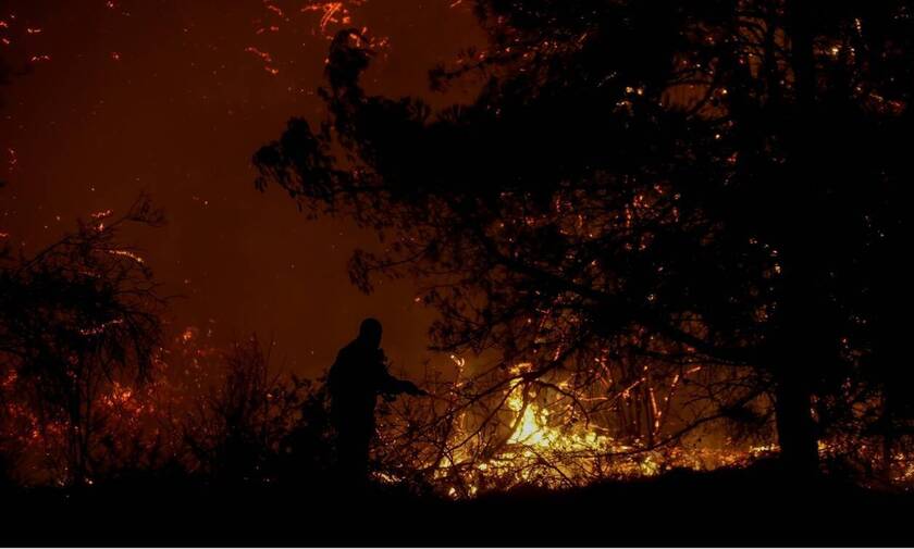 Φωτιά ΤΩΡΑ: Μεγάλη πυρκαγιά στον Φηγιά Καρύστου