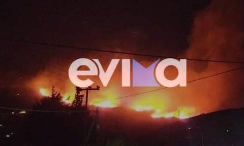 Φωτιά στον Φηγιά Καρύστου: Άνεμοι έως 10 μποφόρ στην περιοχή λέει ο περιφερειάρχης Στερεάς Ελλάδας