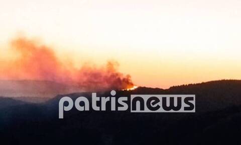 Αμαλιάδα: Οριοθετήθηκε η φωτιά στην περιοχή της Κορυφής