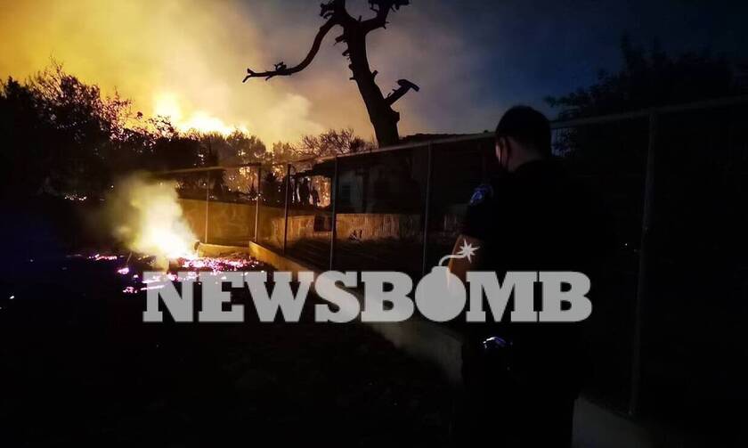Φωτιά στη Νέα Μάκρη: Δήμαρχος Μαραθώνα στο Newsbomb.gr - «Ειδοποιούμε τους κατοίκους πόρτα–πόρτα»