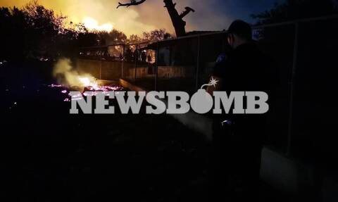 Φωτιά Νέα Μάκρη: Νύχτα αγωνίας για τους κατοίκους - Εκκενώθηκαν οικισμοί και κινδύνεψαν σπίτια