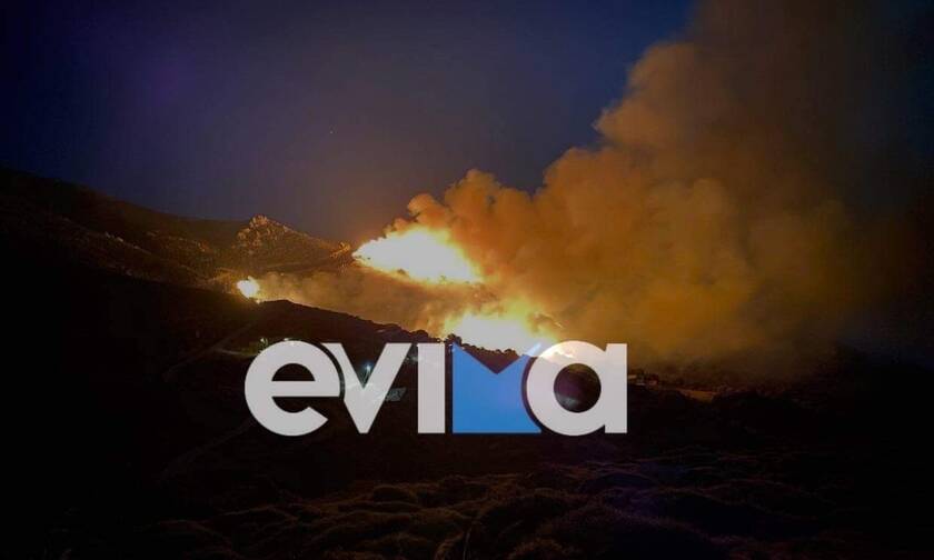 Φωτιά στην Κάρυστο – Ραβιόλος: Δίπλα στον οικισμό Πρινιά οι φλόγες