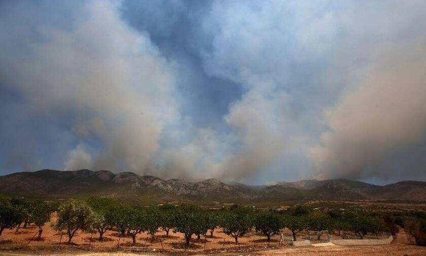 Τρίπολη: Οριοθετημένη η πυρκαγιά στην περιοχή Καλύβια Μεγαλόπολης