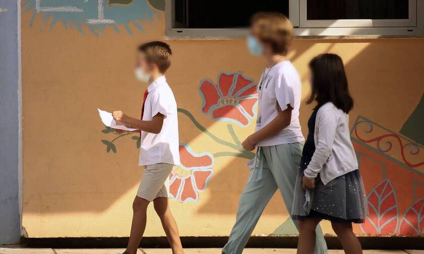 Λινού: «Ανεπαρκή τα μέτρα στα σχολεία - Θα δούμε αύξηση των κρουσμάτων»