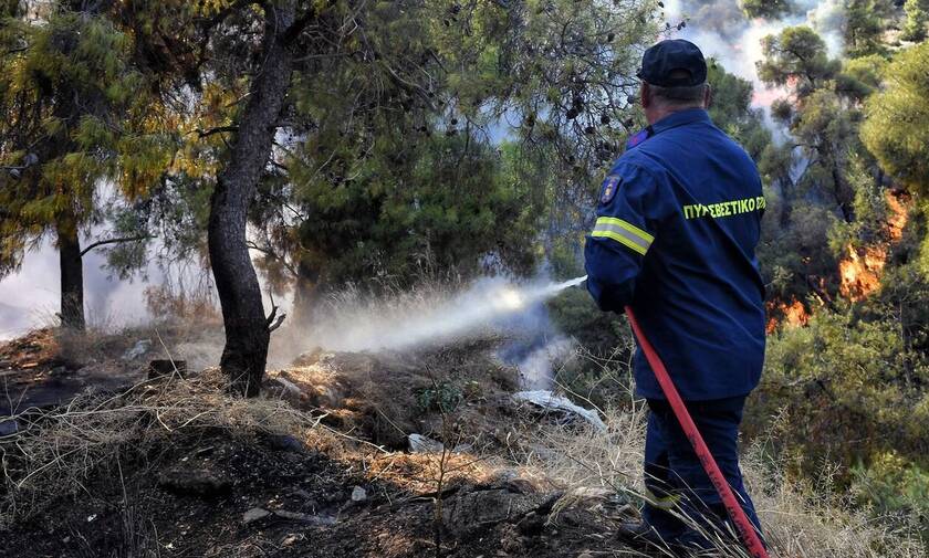 Φωτιά τώρα: Μεγάλη πυρκαγιά στα Χανιά στην περιοχή Πλακάλωνα