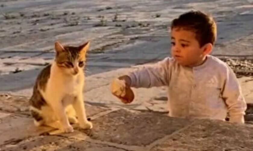 Αγοράκι μοιράζεται το φαγητό του με μια γάτα - Δείτε το βίντεο που έγινε viral