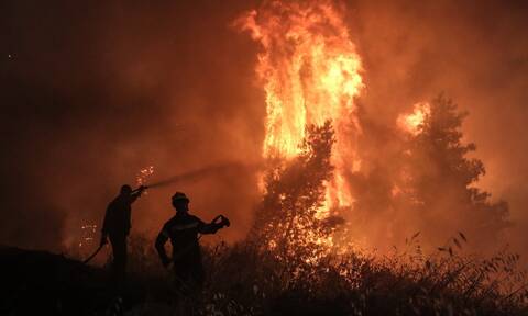 Φωτιά στην Ηλεία: Σε εξέλιξη η πυρκαγιά στην περιοχή Άγναντα