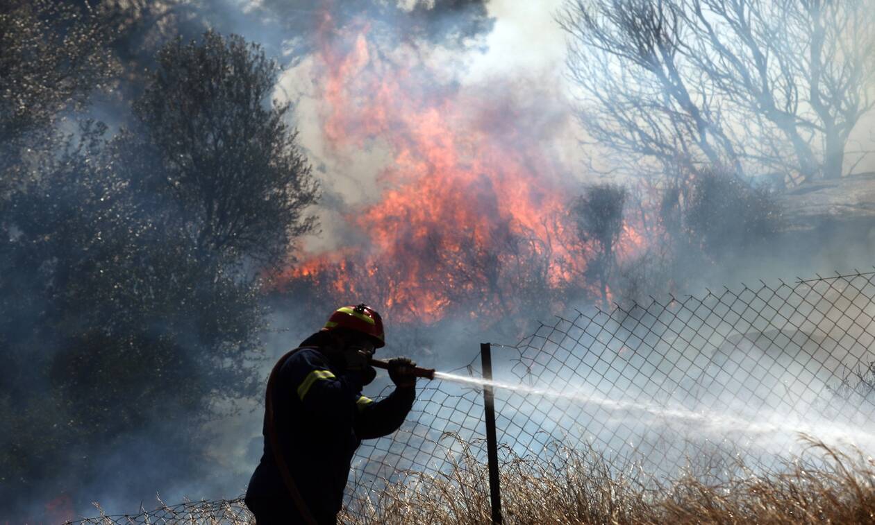 Φωτιά στη Λακωνία: Επί ποδός η Πυροσβεστική
