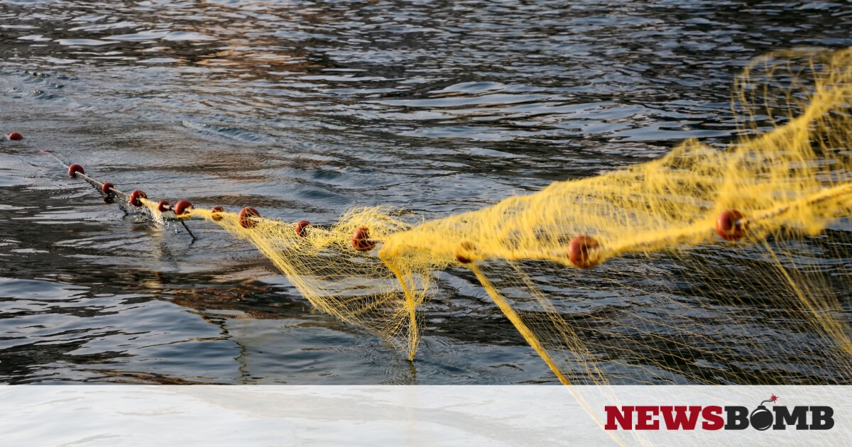 Αποκάλυψη Newsbomb.gr – Βιντζότρατα: Στον εισαγγελέα οι αλιείς ζητούν έρευνα για παράβαση καθήκοντος – Newsbomb