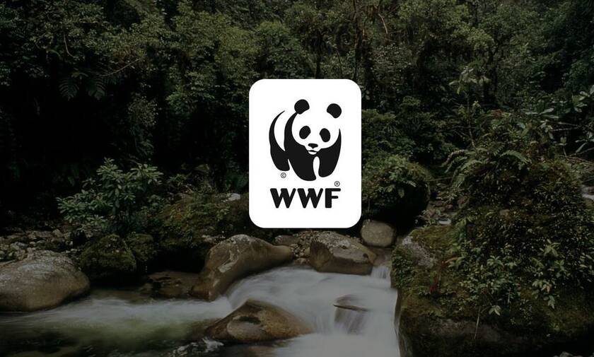WWF: Απλές, καθημερινές λύσεις μείωσης της κατανάλωσης ενέργειας