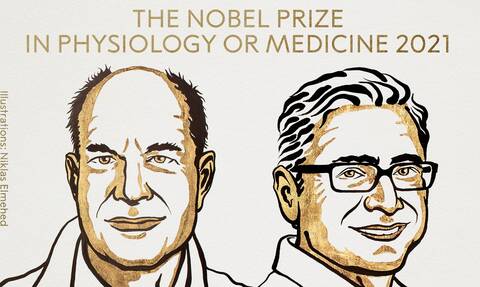 Νόμπελ Ιατρικής: Πήραν το φετινό βραβείο για τον τρόπο με τον οποίο αντιλαμβανόμαστε τη θερμοκρασία