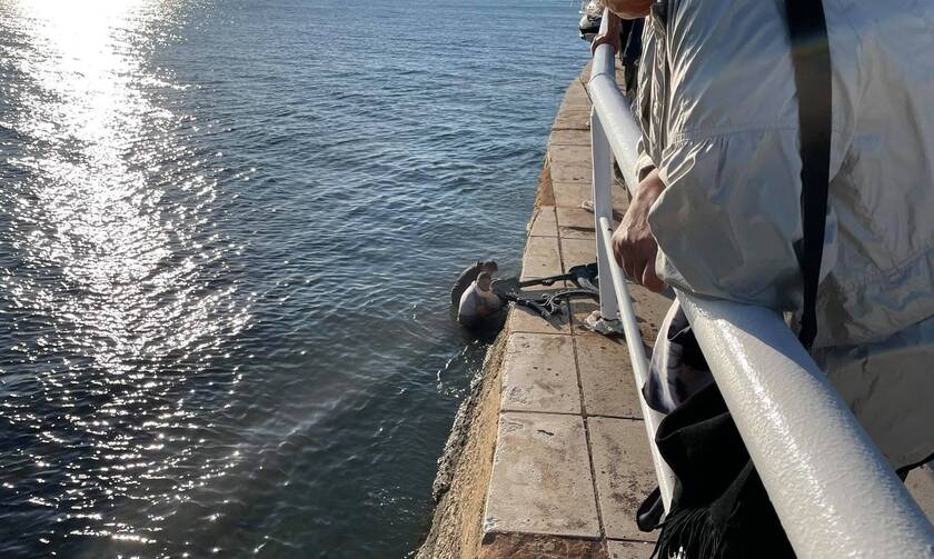 Αλεξανδρούπολη: Αυτοκίνητο παρέσυρε παγκάκι που καθόταν νεαρή γυναίκα η οποία έπεσε στη θάλασσα