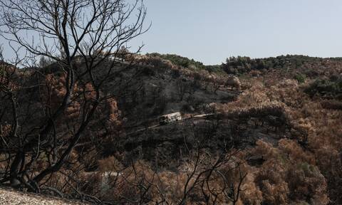 Πώς η Κύπρος «οχυρώθηκε» μέσα σε 2 μήνες μετά τις καταστροφικές πυρκαγιές - Λάθη και παραλείψεις
