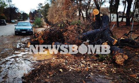 Οδοιπορικό Newsbomb.gr: «Ανοχύρωτη» απέναντι στις πλημμύρες η καμένη Βαρυμπόμπη