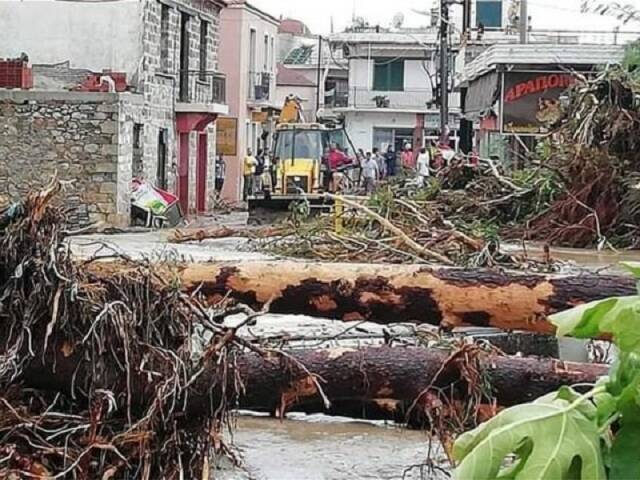 Πτώσεις δένδρων προκάλεσε η κακοκαιρία «Μπάλλος» στην Κρήτη