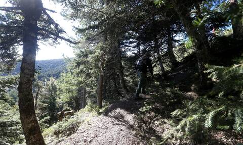 Weekend στο βουνό: Ένα διήμερο στα ορεινά καταφύγια της Πάρνηθας