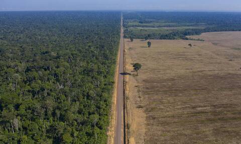 O Αμαζόνιος χάνεται: 22% αυξήθηκε η αποψίλωση του δάσους μέσα σ’ ένα χρόνο