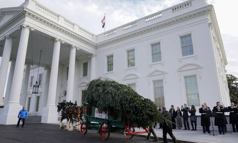 Λευκός Οίκος: Έφθασε το χριστουγεννιάτικο δέντρο - Έκλεψε την παράσταση ο εγγονός του Μπάιντεν