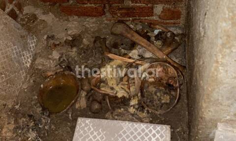 Θεσσαλονίκη: Εντοπίστηκαν ανθρώπινα οστά σε υπόγειο πολυκατοικίας