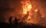Φωτιά: Συνολικά 1.301.239 στρέμματα κάηκαν από τις αρχές του 2021 μέχρι και τέλος Οκτωβρίου