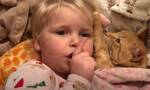 Aπαιτεί να κάνουν ησυχία οι γονείς της για να κοιμηθεί η γάτα της - Ξεκαρδιστικό βίντεο