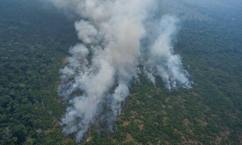 Οι καταστροφικές πυρκαγιές στη Βραζιλία σκότωσαν περίπου 17 εκατομμύρια ζώα