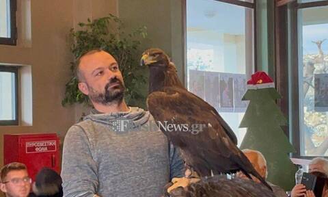 Κρήτη: Έκλεψε τις εντυπώσεις ένας κυνηγετικός αετός σε γλέντι στα Ανώγεια (vid)