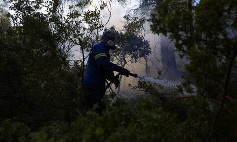 Φωτιές: Μέσα σε ένα χρόνο κάηκαν τόσα στρέμματα όσα κατά την πιο πρόσφατη 8ετία