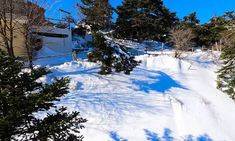 Καταφύγιο Μπάφι – Πάρνηθα: Απίθανες εικόνες σε χιονισμένο τοπίο