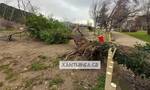 Κακοκαιρία «Διομήδης»: Θυελλώδεις άνεμοι, καταστροφές και κλειστά σχολεία σε Ξάνθη και Θάσο