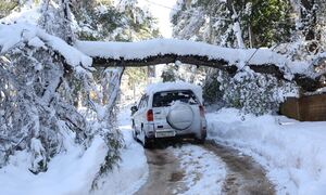 Καιρός - Μαρουσάκης: Ξεκινά πρώτο ψυχρό κύμα – Έρχονται πυκνές χιονοπτώσεις και -20 βαθμοί Κελσίου