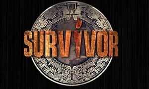 Survivor: Ποινική δίωξη κατά παίκτη για δύο αδικήματα - Τι λέει η δικηγόρος της 16χρονης