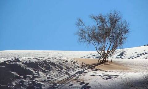 Έχει ο καιρός γυρίσματα - Χιόνισε στην έρημο Σαχάρα!