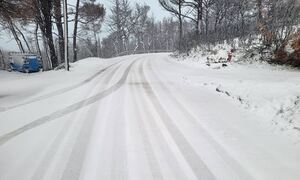 Κακοκαιρία «Ελπίδα» - Προειδοποίηση Αρναούτογλου για την Εύβοια - Μισό μέτρο χιόνι μέχρι τη θάλασσα!