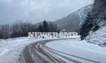 Ψαθάς στο Newbsomb.gr: «Είμαστε σε εγρήγορση για επιδείνωση του χιονιά - Δύσκολες οι επόμενες μέρες»