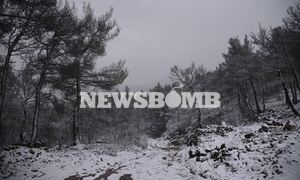 Μαρουσάκης στο Newsbomb.gr: «Ελπίς» όπως «Μήδεια» - Πότε θα χιονίσει στο κέντρο της Αθήνας