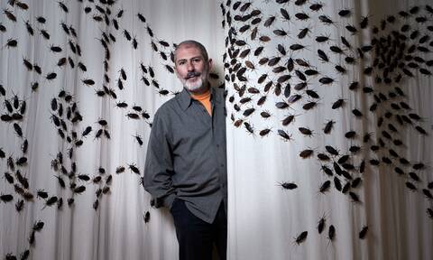 Capten, γιατί έχουν «φωλιάσει» 2.000 κατσαρίδες στα Καλύβια;
