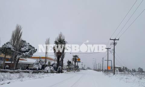 Σπανός στο Newsbomb.gr: Δίνουμε μάχη για να μην κλείσουν δρόμοι στην Εύβοια και αποκλειστούν χωριά