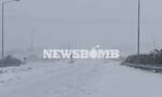 Κακοκαιρία Ελπίδα: Θάφτηκε στο χιόνι η Εύβοια - Αποκλεισμένα χωριά και χωρίς ρεύμα