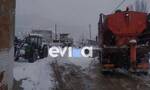 Κακοκαιρία Ελπίδα: Τροχαίο για κτηνοτρόφο στην Εύβοια - Έπεσε σε χαντάκι