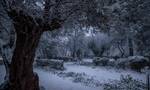 «Ελπίδα»: Σε ποιες περιοχές της Αττικής αναμένεται το μεγαλύτερο ύψος χιονιού