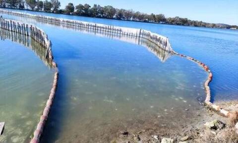 Ήπειρος: Χιλιάδες ψάρια πέθαναν από το ψύχος στη λιμνοθάλασσα του Δρέπανου