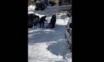 Κακοκαιρία Ελπίδα: Αδιανόητο video - Σέρνουν φέρετρο στα χιόνια στου Ζωγράφου