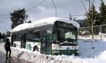 Αποσύρονται σταδιακά λεωφορεία και τρόλεϊ λόγω παγετού- Ποιες γραμμές θα λειτουργήσουν έως τις 21:00