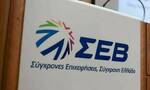 ΣΕΒ: Δυνατότητα τηλεργασίας για 1 στους 5 εργαζόμενους στην Ελλάδα