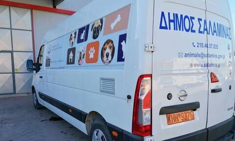 Δήμος Σαλαμίνας: Απέκτησε υπερσύγχρονο ασθενοφόρο για τα αδέσποτα ζώα