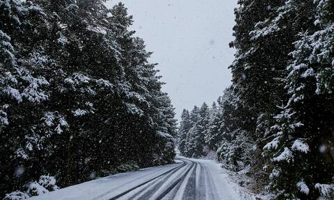Κακοκαιρία: Έντονη χιονόπτωση στην Αρκαδία – Προβλήματα στο οδικό δίκτυο, πού χρειάζονται αλυσίδες