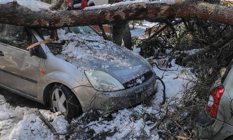 Κακοκαιρία «Ελπίδα»: Αποζημιώσεις οχημάτων από πτώση δέντρων στον Δήμο Ηλιούπολης         