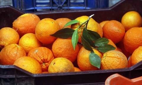 Κακοκαιρία «Ελπίς»: Η αποφάση της αποζημίωσης των παραγωγών πορτοκαλιού