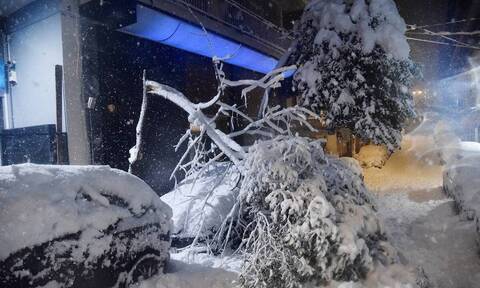Δήμος Γλυφάδας: Διανέμει δωρεάν στους δημότες την ξυλεία που συγκεντρώθηκε από τον χιονιά